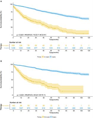 Surgery or Non-surgical Treatment of ≤8 mm Non-small Cell Lung Cancer: A Population-Based Study